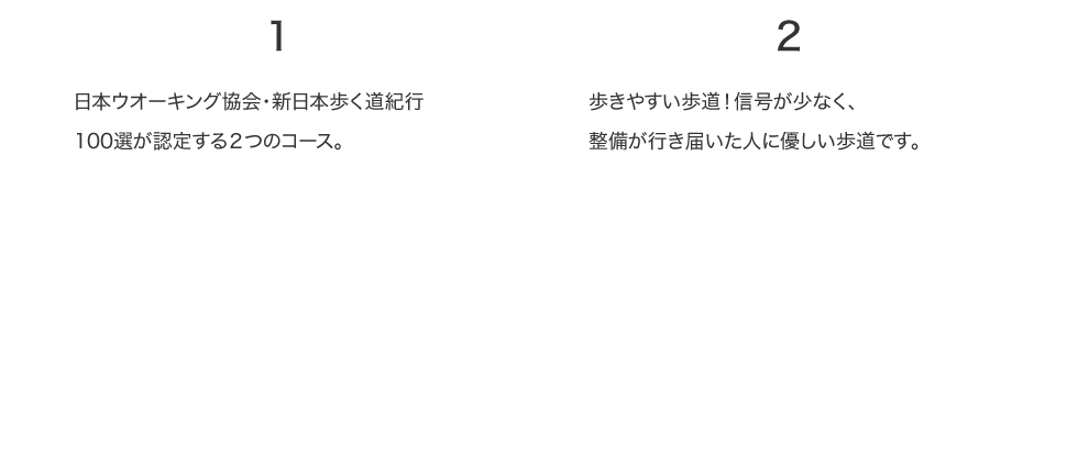 泉パークタウン：美しい町と森を巡る道の詳細